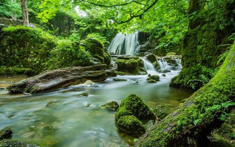高端环保